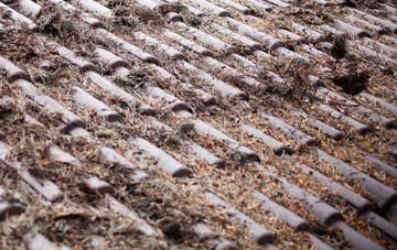 Athersley South roof cleaning companies