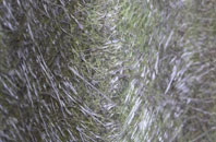 Athersley South fibreglass roof work